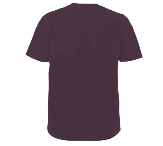 Plum Lizard Classic Tee