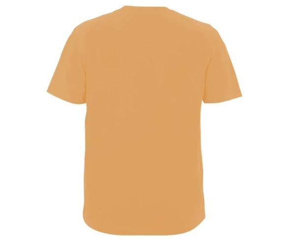 Sunset Serpent Classic Tee