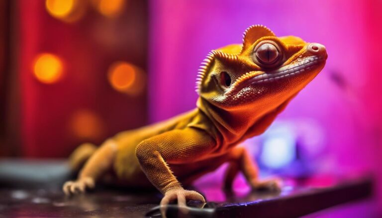 crested gecko heating requirements