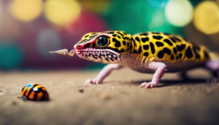 leopard geckos and beetles