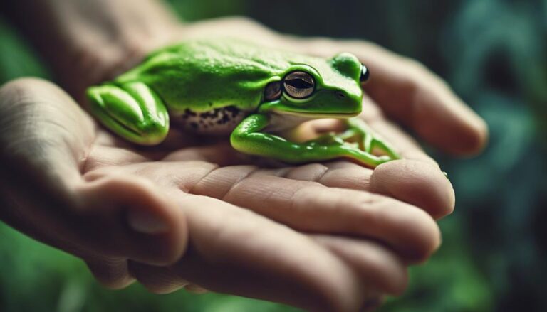 top frogs for petting